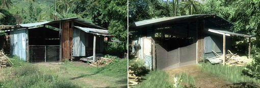 shed